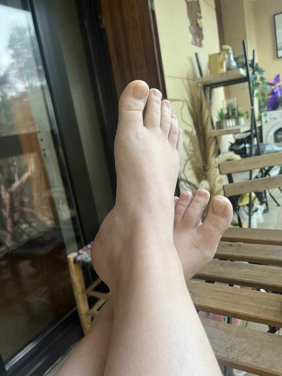 Pieds Potager tweet media