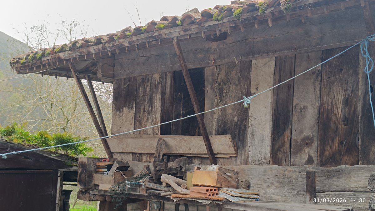 horru_online tweet media