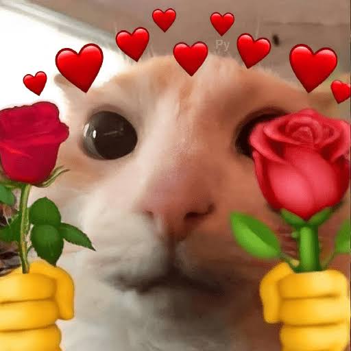 Soy realmente fan en como los CCs se subieron a lo que ocurría y no permitieron que el Hate a Fariis continuará.

Y no de forma bonita, ellos lit les dieron la arrastrada de la vida a los que estaban tirándole a Fariis sin miedo a nada. 

Los amo CCs del QSMP