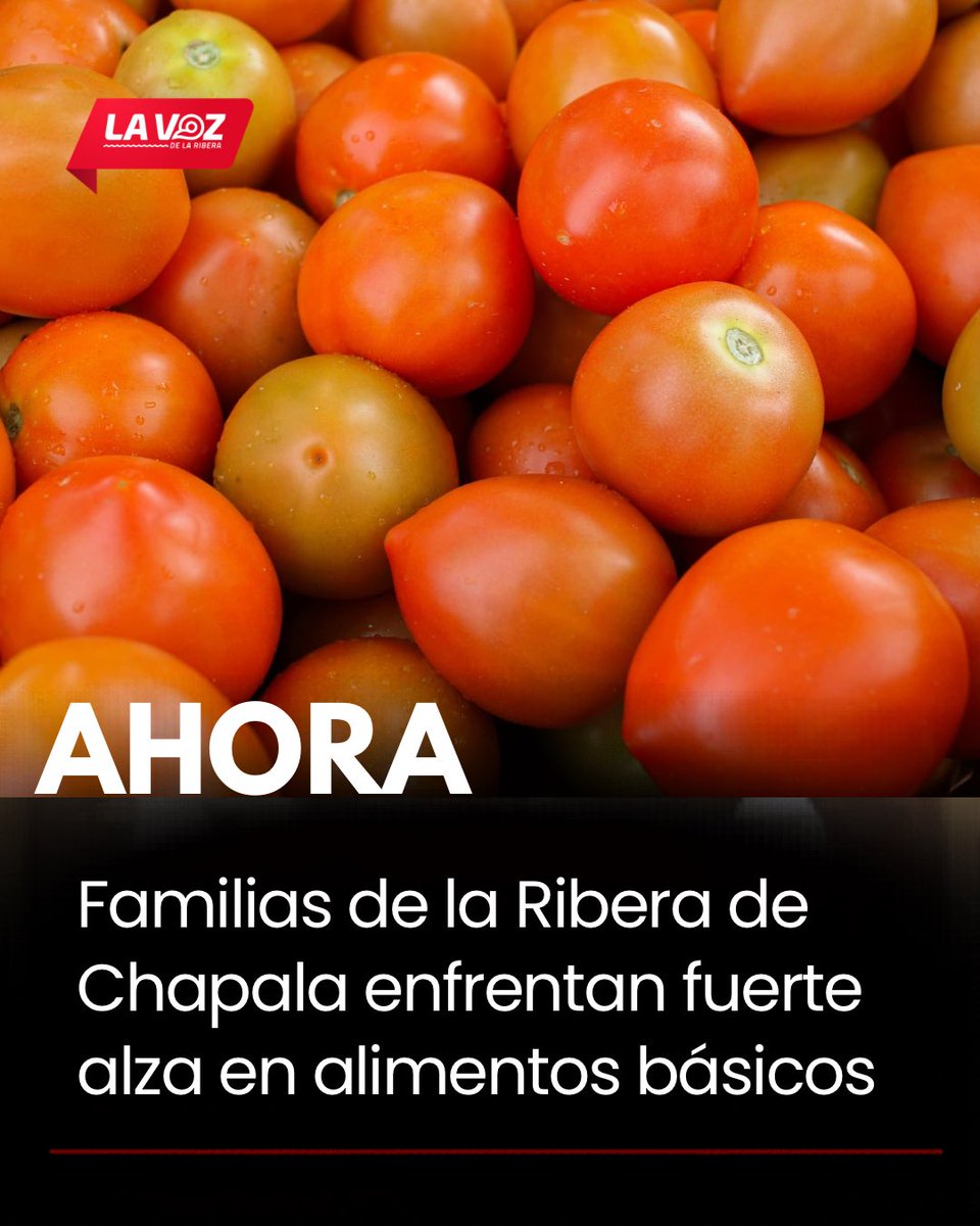 LAVOZDELARIBER1's tweet photo. #GolpeAlBolsillo 🍅💸 | Familias de la Ribera de Chapala enfrentan fuerte alza en alimentos básicos

El aumento en los precios de productos esenciales ya impacta directamente a las familias de la Ribera de Chapala. El jitomate, uno de los ingredientes más utilizados en la cocina mexicana, ha alcanzado hasta los 60 pesos por kilo en algunos establecimientos del municipio.

📈 Pero no es el único: el limón ronda los 50 pesos, la cebolla cerca de los 30, y el mango —que en esta temporada solía ser económico— se vende actualmente hasta en 60 pesos.

🛒 Una ama de casa señaló que por apenas cinco productos de la canasta básica llega a gastar hasta 500 pesos, lo que la ha obligado a racionar alimentos como el jitomate. Además, indicó que ha optado por comprar productos a granel o marcas más económicas ante el incremento generalizado en los precios.

⚠️ A nivel nacional, el encarecimiento del jitomate —que en algunas zonas del país supera los 55 a 90 pesos por kilo— responde a una menor producción, condiciones climáticas adversas y factores comerciales con Estados Unidos, lo que ha reducido la oferta.

🌡️ A esto se suma el gasto en energía eléctrica. Con las altas temperaturas registradas en las últimas semanas, familias han tenido que usar ventiladores de forma constante, lo que podría reflejarse en recibos de luz más elevados.

La situación económica es considerada complicada por habitantes de la región, quienes enfrentan el alza en alimentos, combustibles y servicios básicos, en medio de un entorno de inflación que continúa presionando el bolsillo.

❓¿Tú qué productos has visto que han aumentado y cómo haces para enfrentar estas alzas?

#Chapala #Inflación #CanastaBásica #Jalisco #Economía