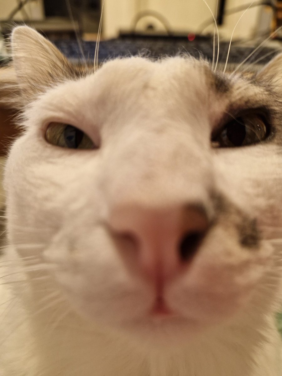 Juan #LostiesForever tweet media