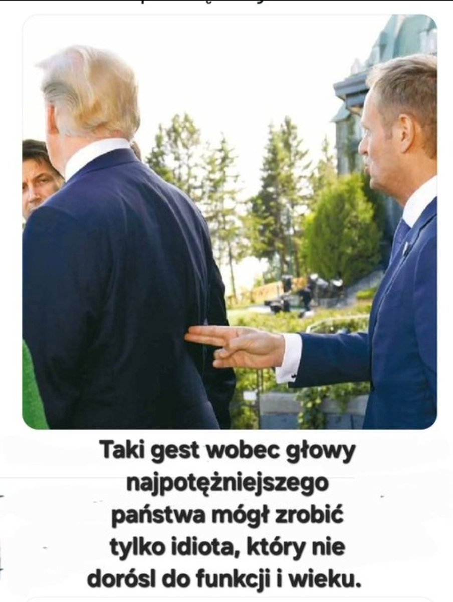 Cymelium 🇵🇱 tweet media