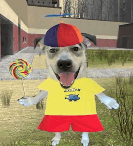 PointlessHub tweet media