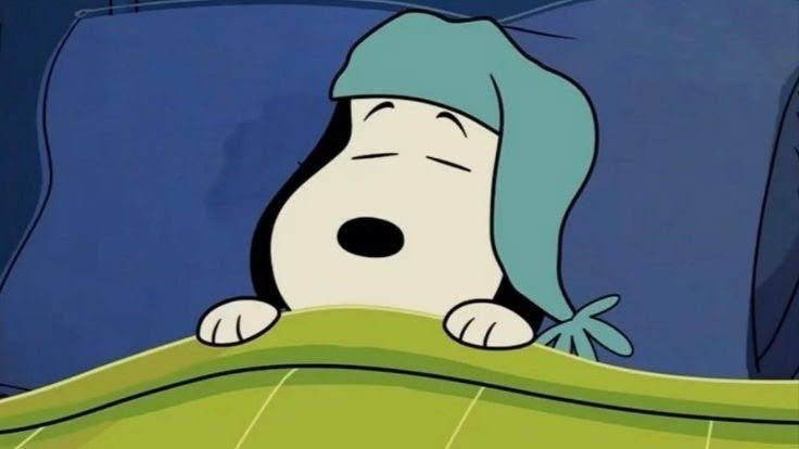 Daily Snoopy tweet media