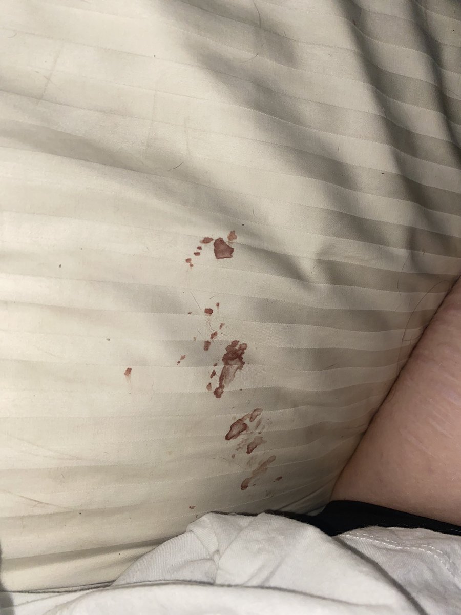 ┊ ˚₊‧ Dottie 🎼‧₊˚ ┊SHEDTWT tweet media