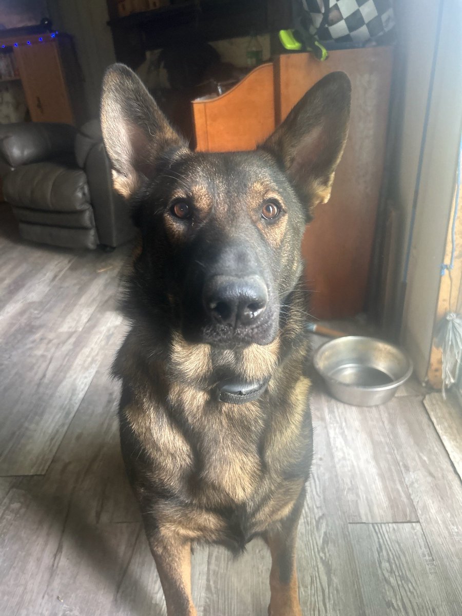 James Barrows tweet media