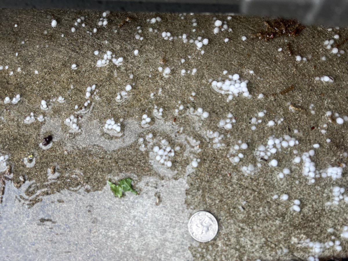 _maddi__rose's tweet photo. Really small hail (or graupel?)  in Liberty #mowx @fox4wx @NWSKansasCity https://t.co/EpJJAJil6B
