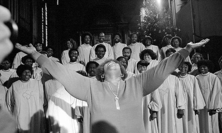 改善🦚 tweet media