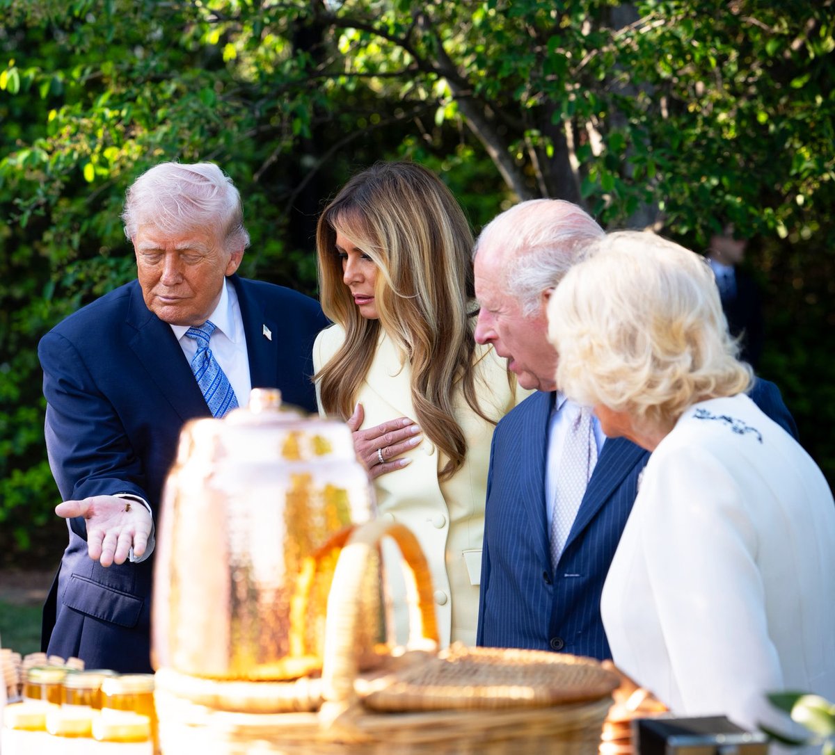 il Donaldo Trumpo tweet media