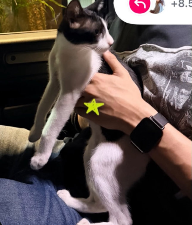 ᐯꀤɧɑɑɳ tweet media