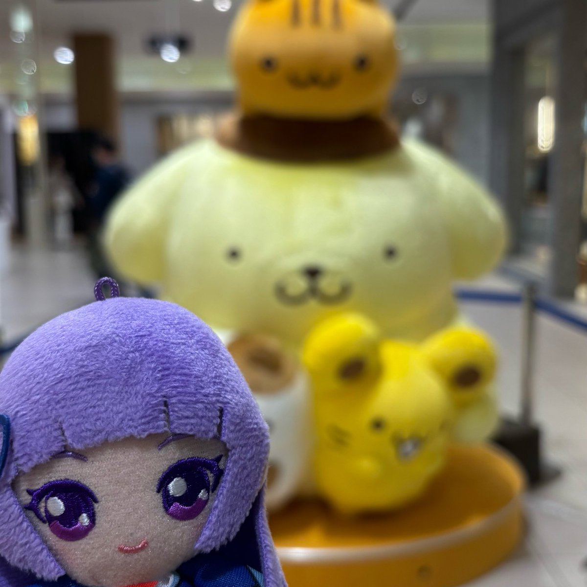 黒瀬 tweet media