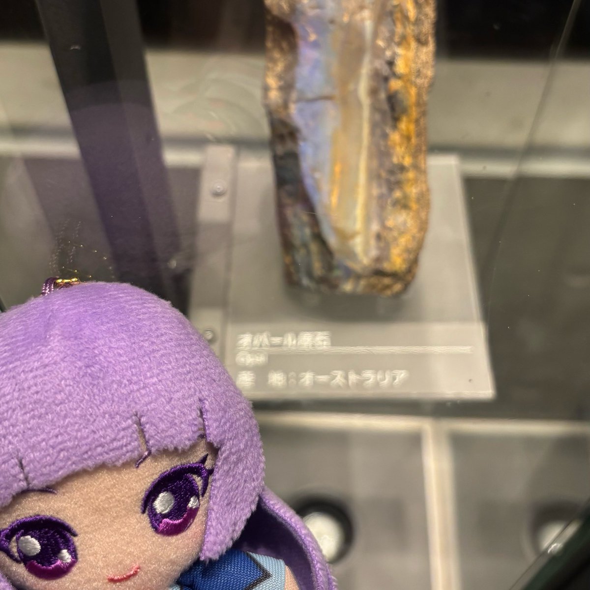 黒瀬 tweet media