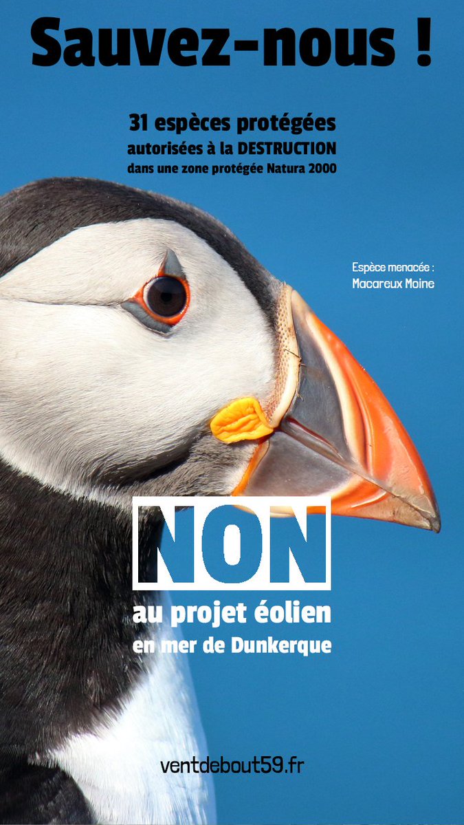Florent tweet media