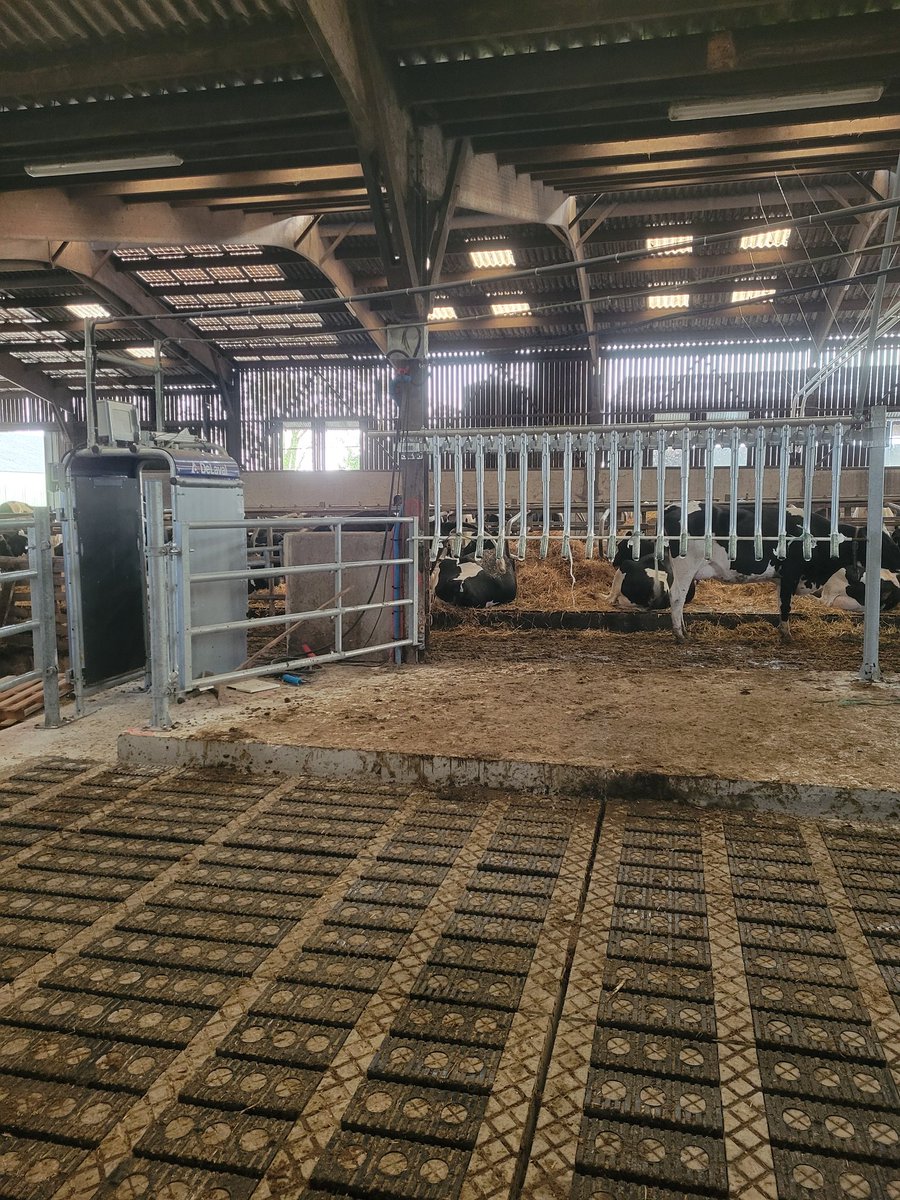 Benoît Delattre tweet media