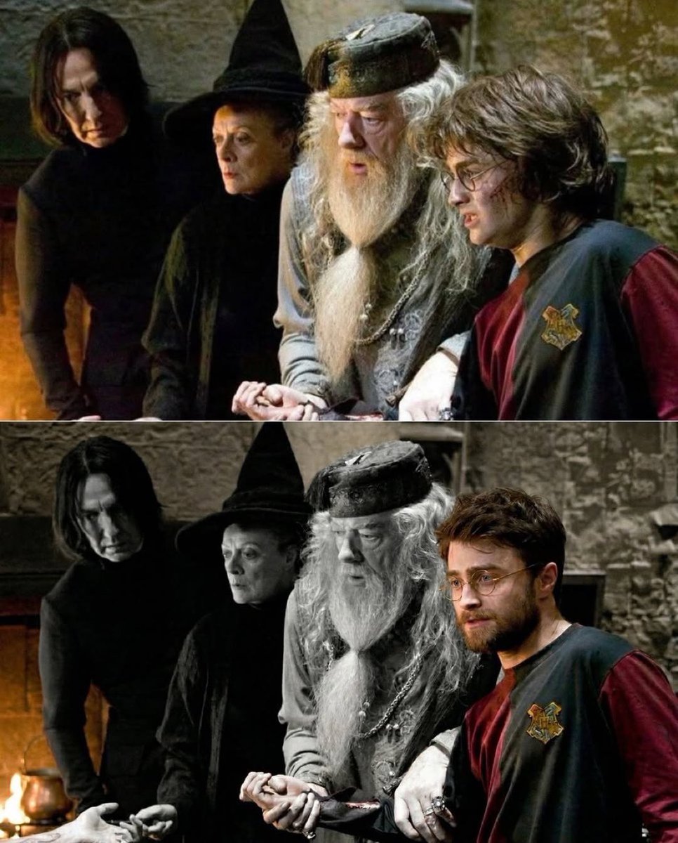TheDailyHPotter's tweet photo. This is heartbreaking 💔 https://t.co/5NcIi6R1zu