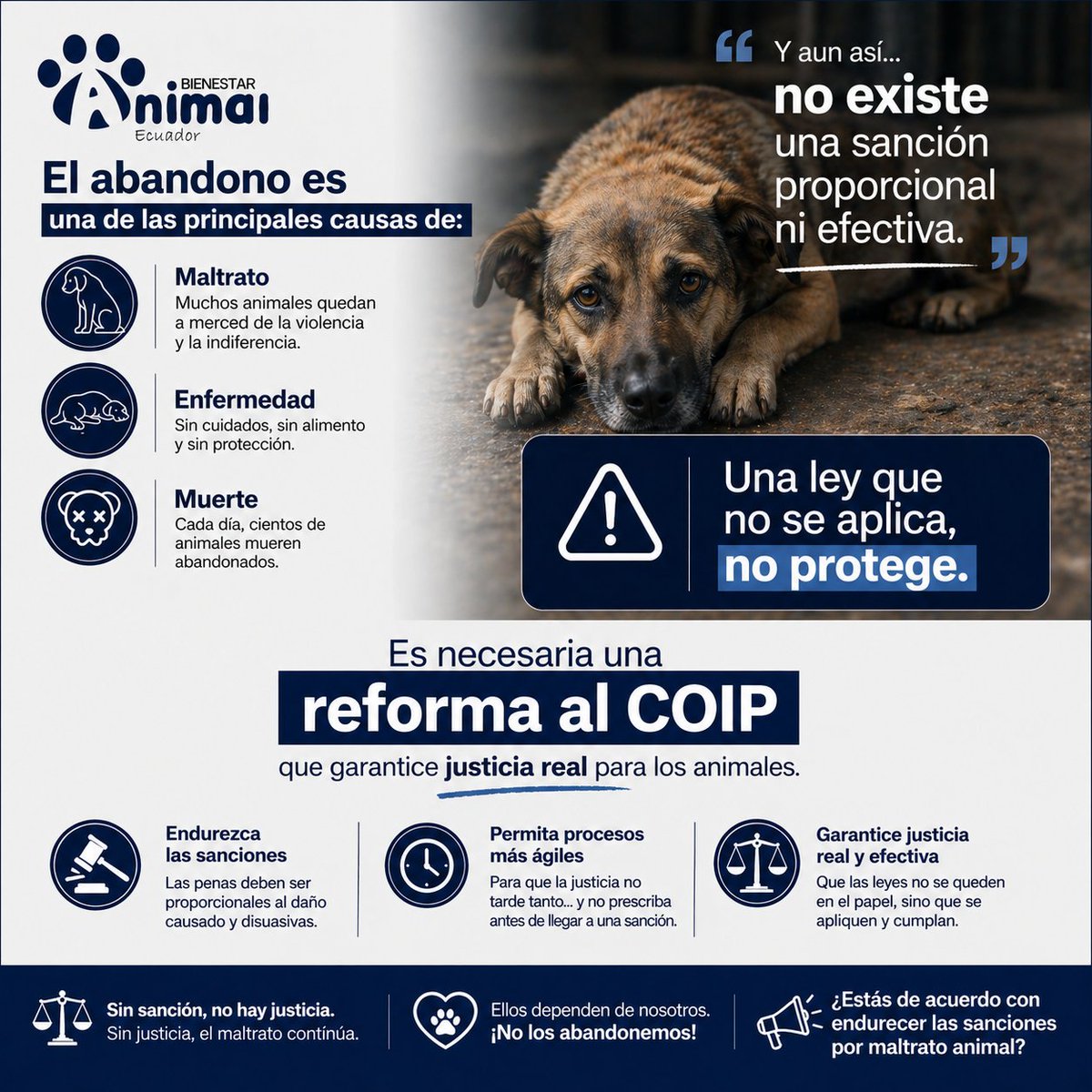 Bienestar Animal Ecuador tweet media