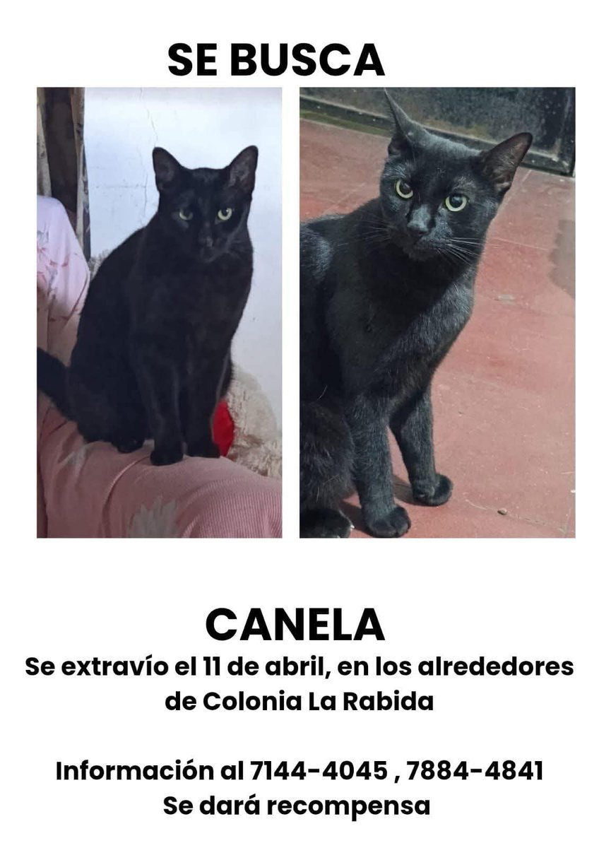 #ServicioSocial
SE BUSCA 🚨🚨