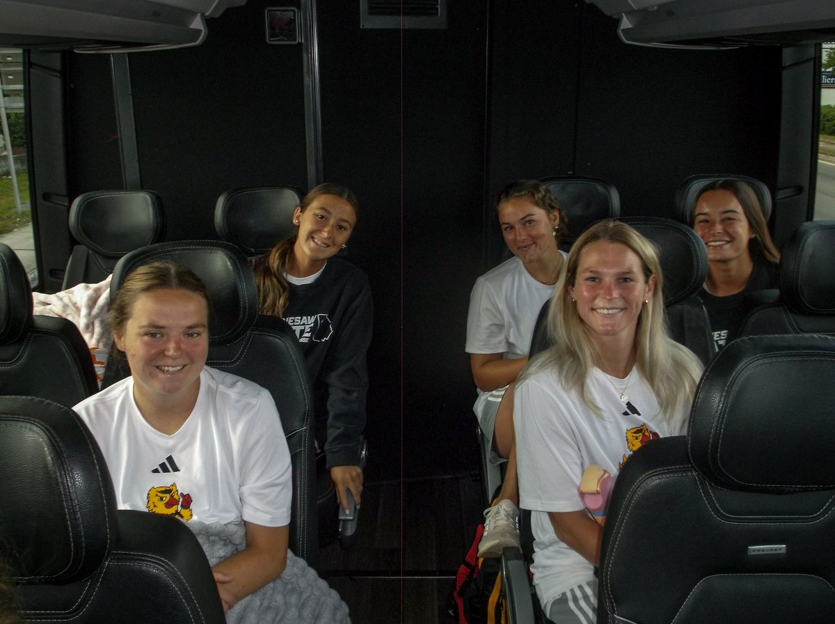 KSUOwlsLAX's tweet image. Soph's view from the digital camera 📸

#WhyNotUs | #HootyHoo 🦉🥍