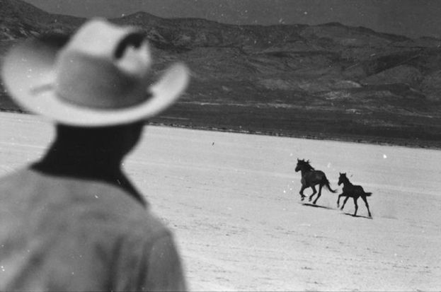 改善🦚 tweet media