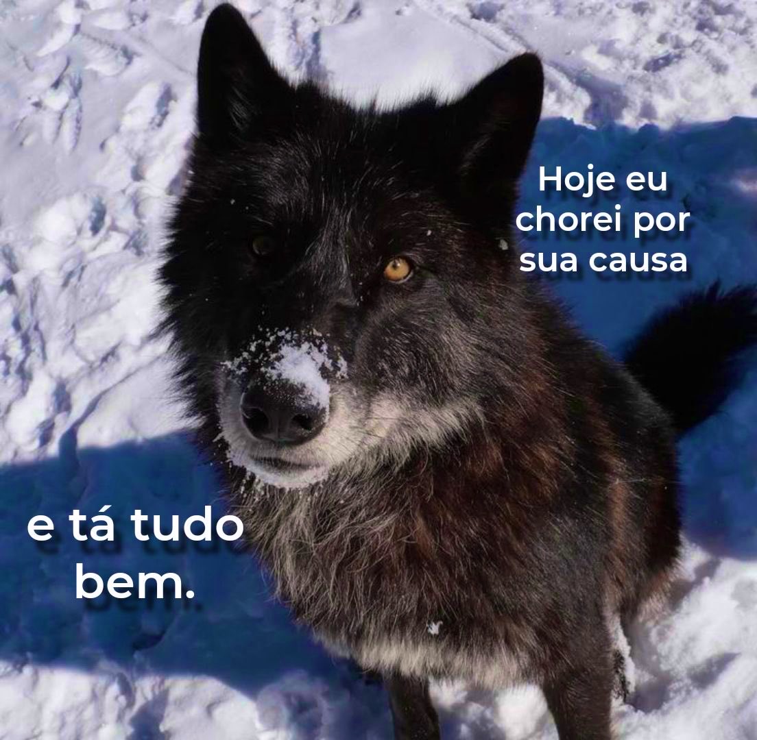 jogadorsagrado's tweet photo. https://t.co/QSwi1mgWBt