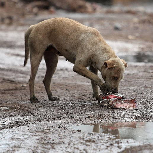 Lucía Hernández | Amo La Ciencia tweet media