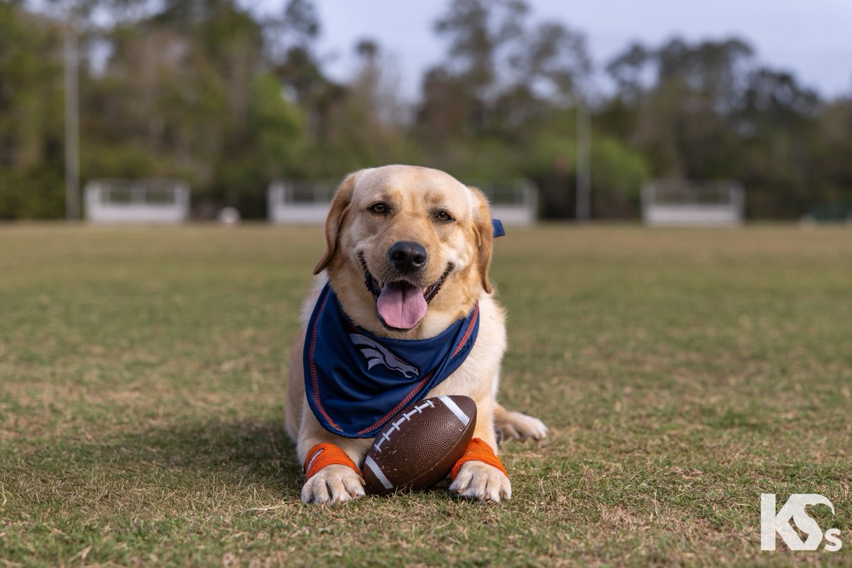 Denver Broncos tweet media