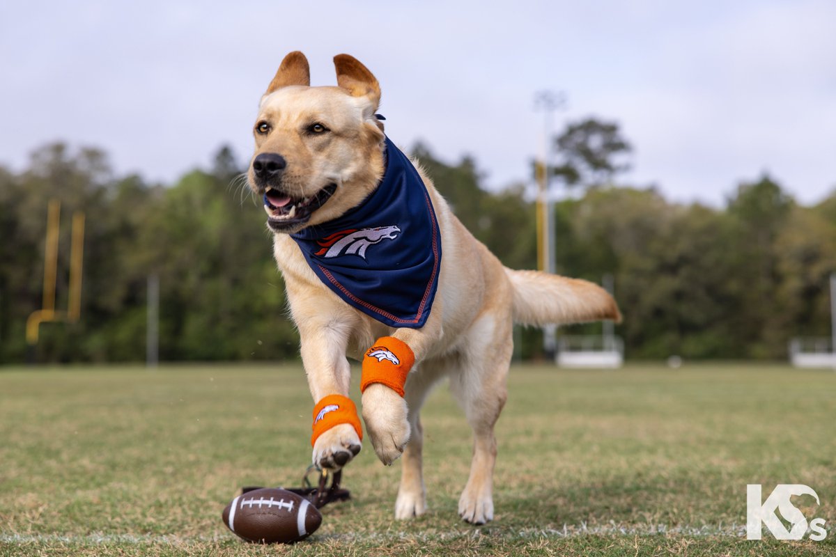 Denver Broncos tweet media