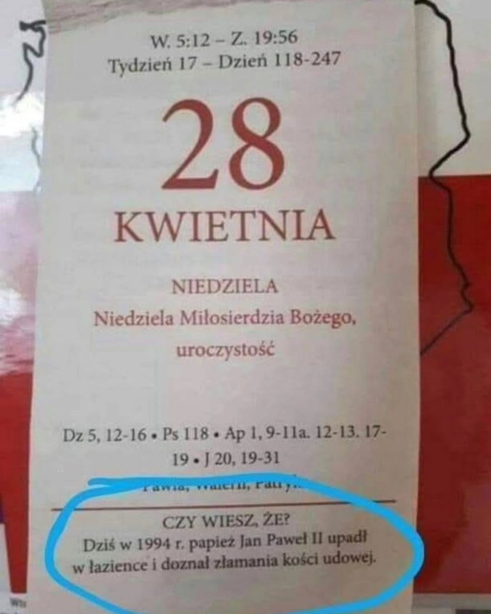 Michalina Kobla tweet media