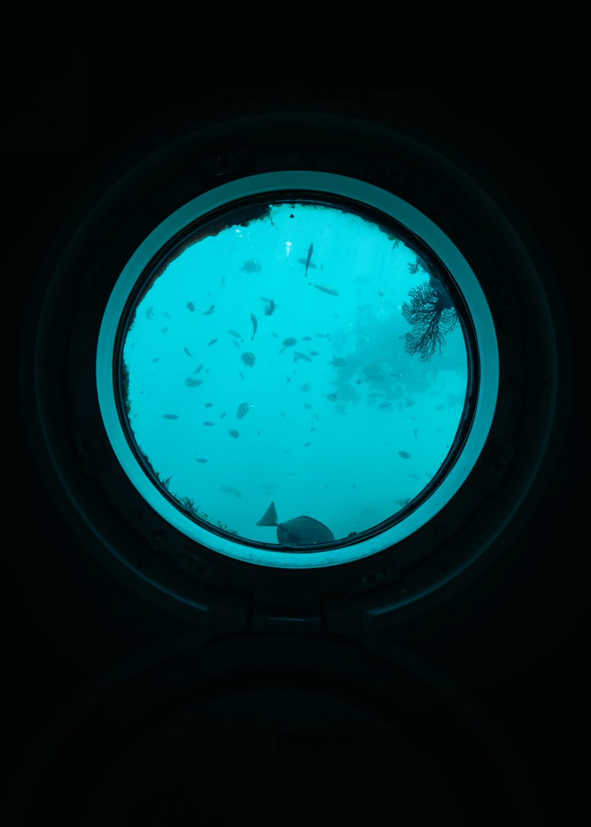 North_ern2's tweet photo. 開館からすでに半世紀、海中に沈めた人工物を更新し続けるのはかなり厳しい。昨年夏にはウニのせいで本館壁に穴が開いて漏水したり、連絡橋の老朽化も問題視されているとか。
にしても公式発表が17日で30日には休館とは…もう一度行ける時間が欲しかった。四国の果てには龍宮城があったのさ(無念) https://t.co/tuXpIqfkZF
