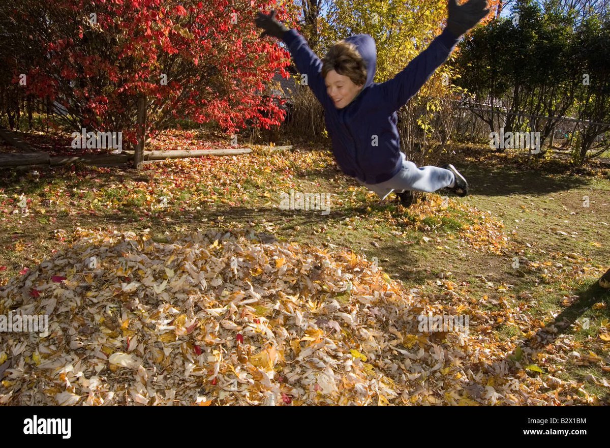 Icefang GD tweet media