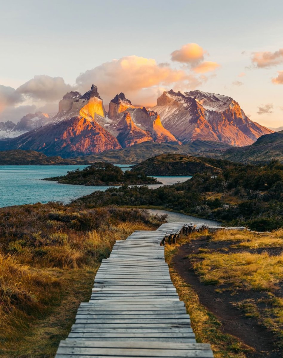 Purely Green tweet media