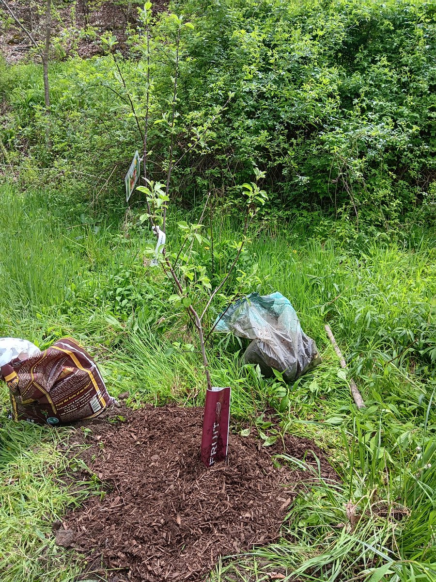 Dr. Greenthumb tweet media