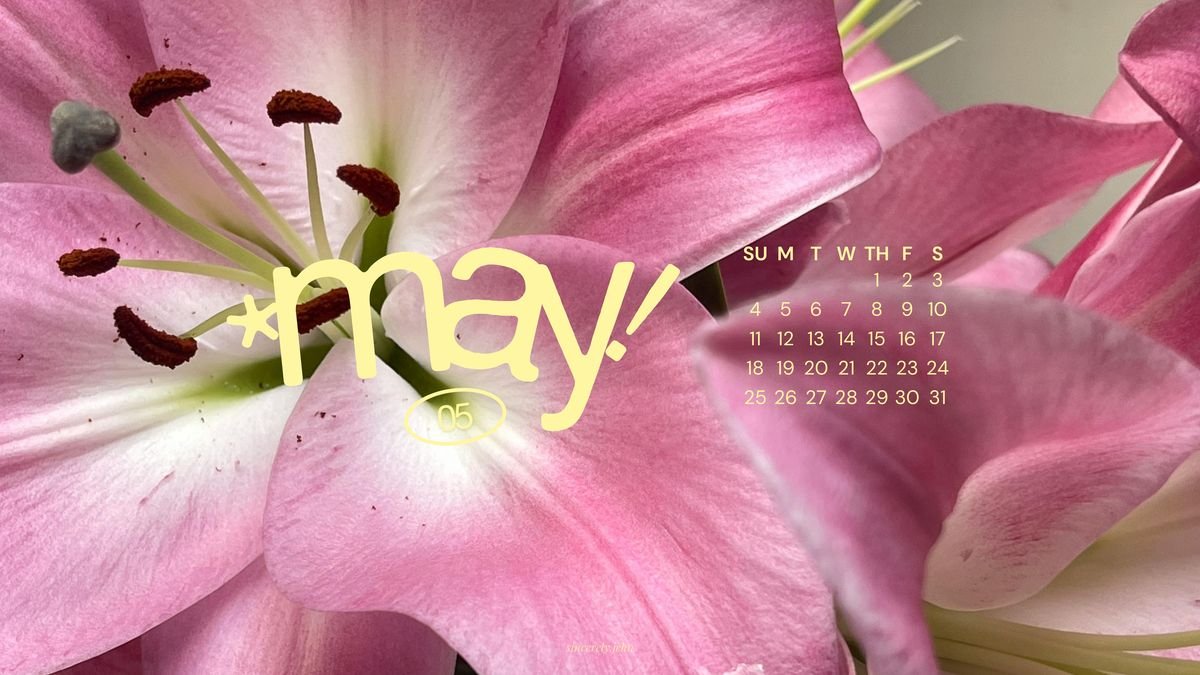 𖦹🍀୭˚ tweet media