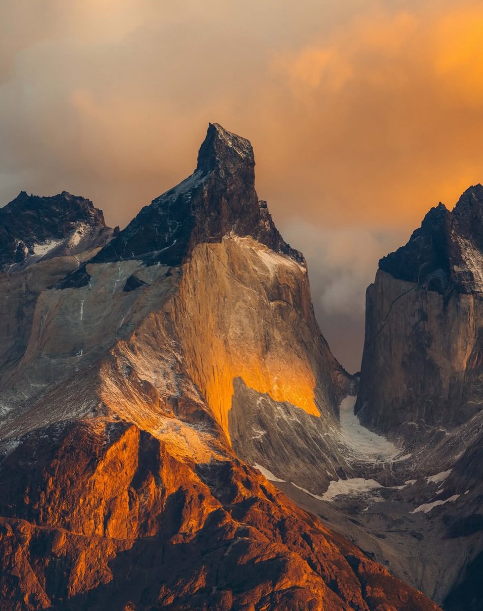 Purely Green tweet media