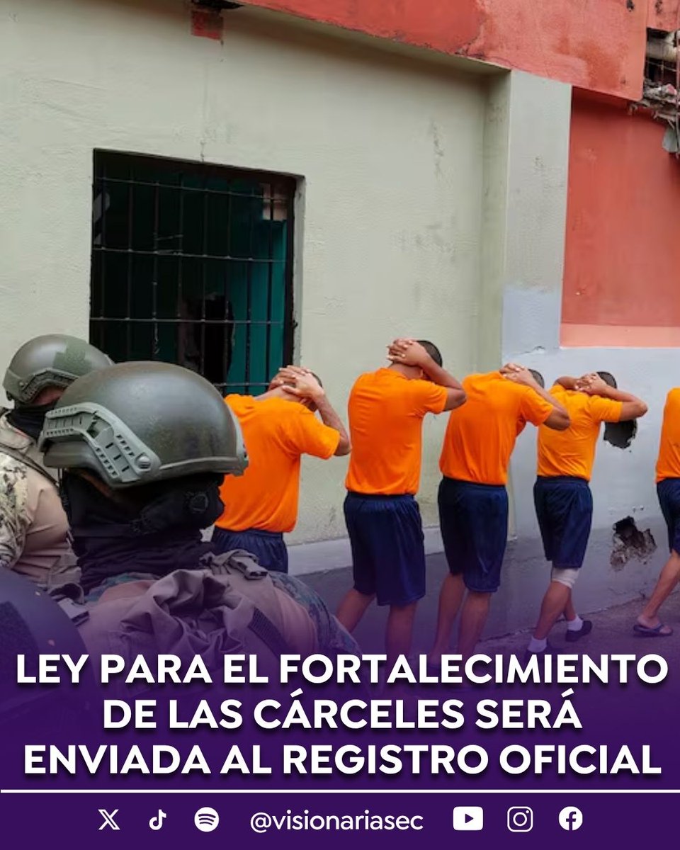 Visionarias tweet media