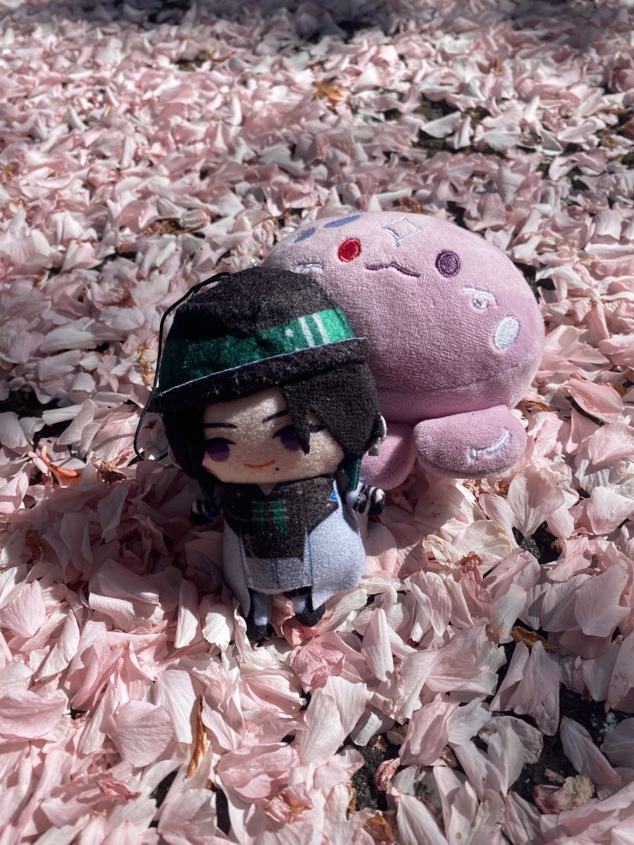 starlight kat 💖 tweet media