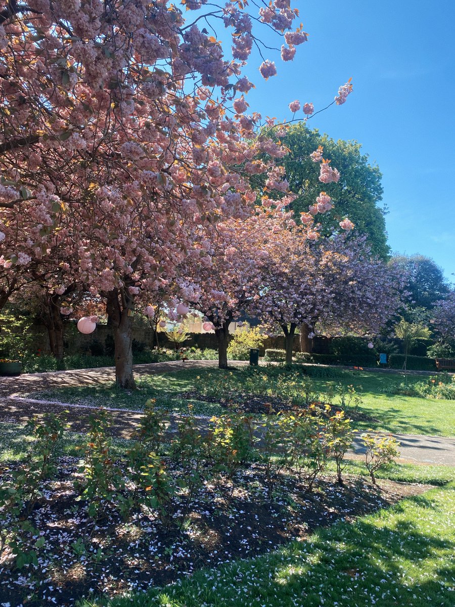 starlight kat 💖 tweet media