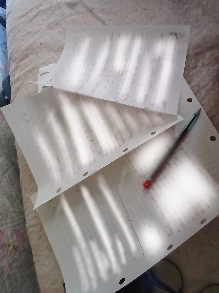 Mika the Cat tweet media