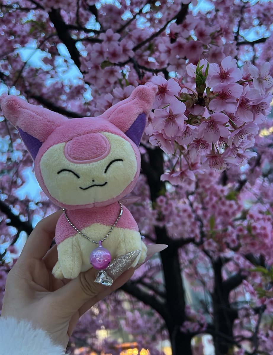 エネコ探してます😭 tweet media