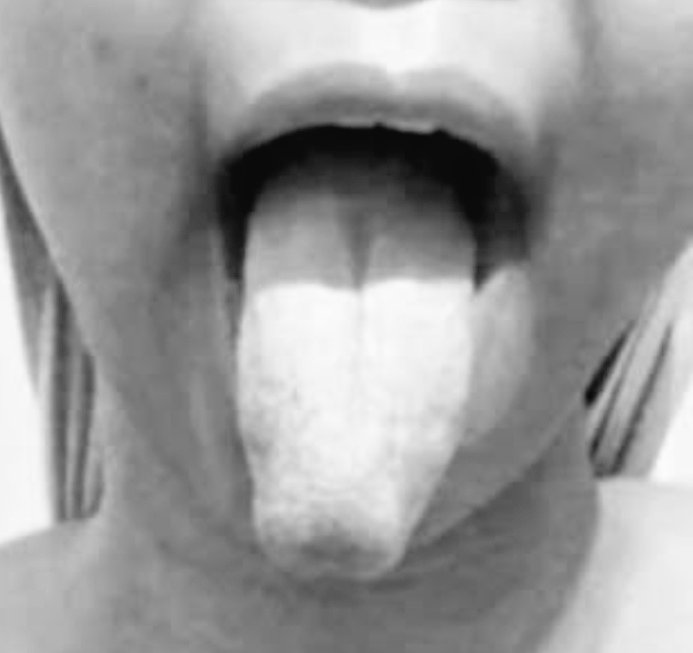 شرموطة تونسية tweet media