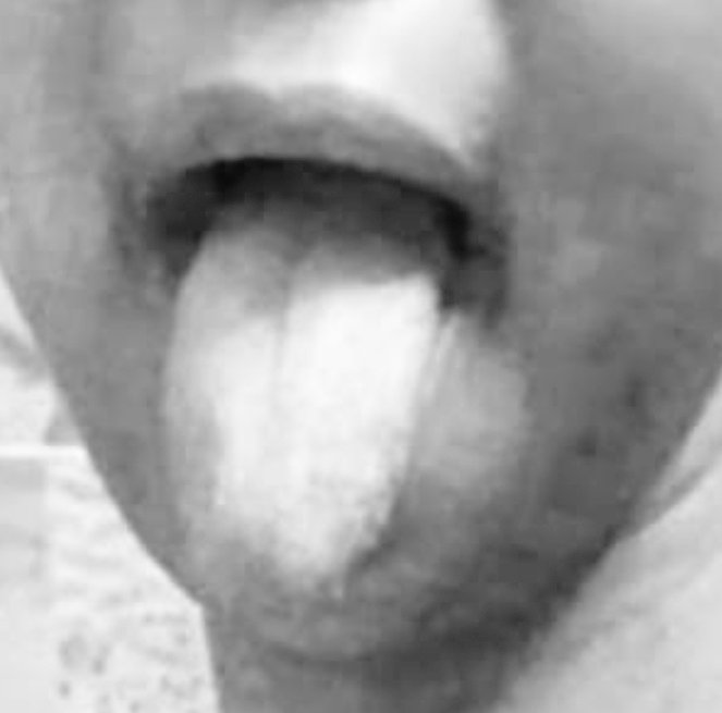 شرموطة تونسية tweet media