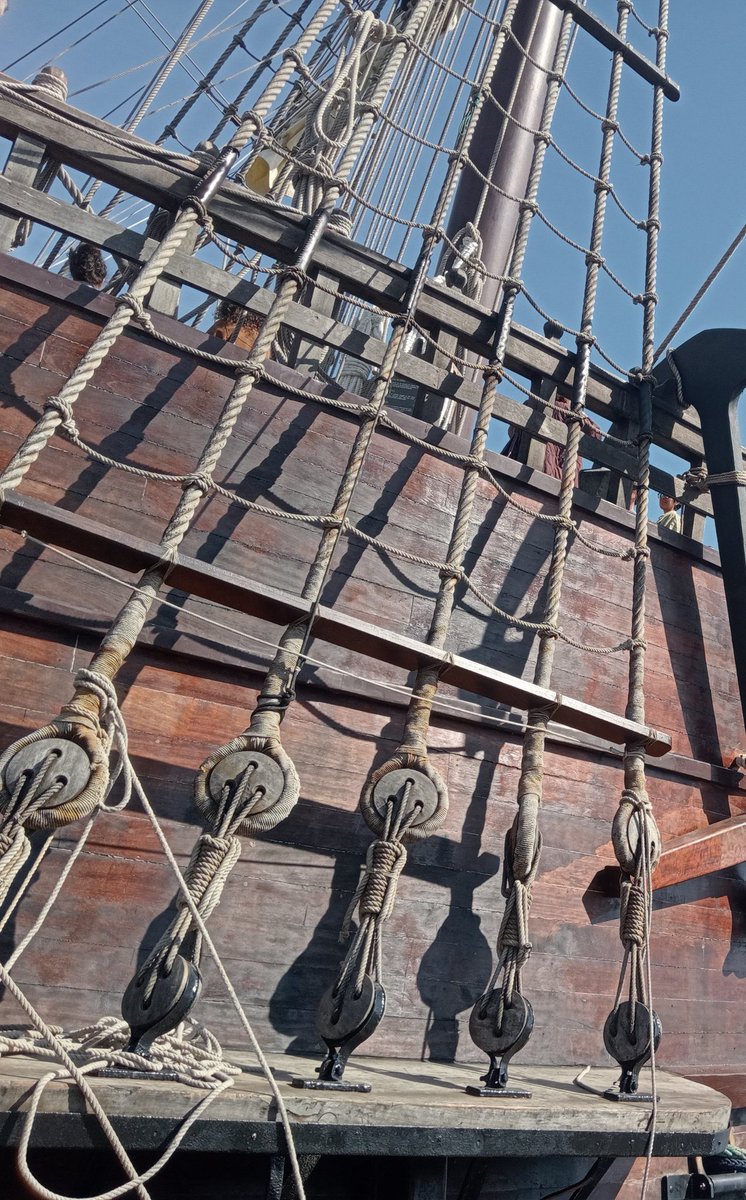 Fizcatus (@fizcatus) on Twitter photo 