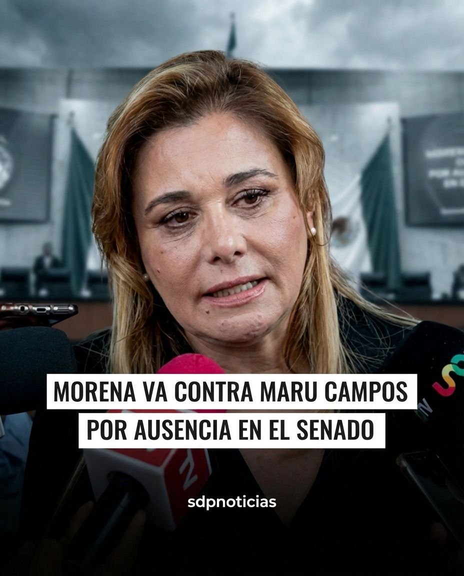 SDP Noticias tweet media