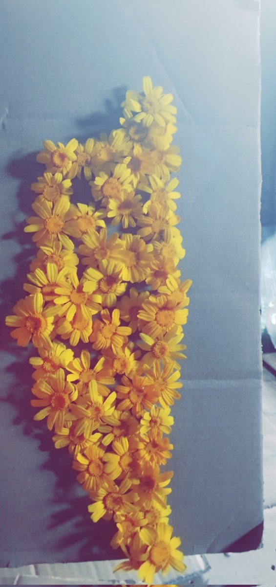 Hind Moh أم يامن 🇵🇸 tweet media