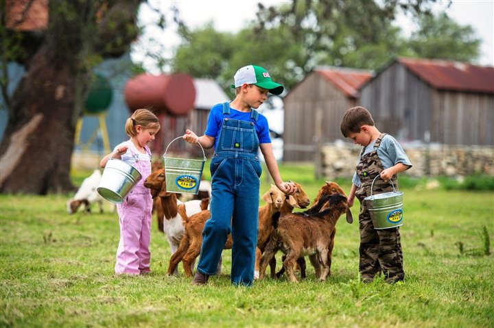 pioneerthinking's tweet image. Not all best friends have paws! 🐐🐷

Thinking of adding livestock to the family? From "no snooze buttons" to zoning laws, here are 7 things you need to know before you adopt. 🌾

Read more: pioneerthinking.com/from-farm-to-f…

#homesteading #farm #livestock #pioneerthinking #pioneer