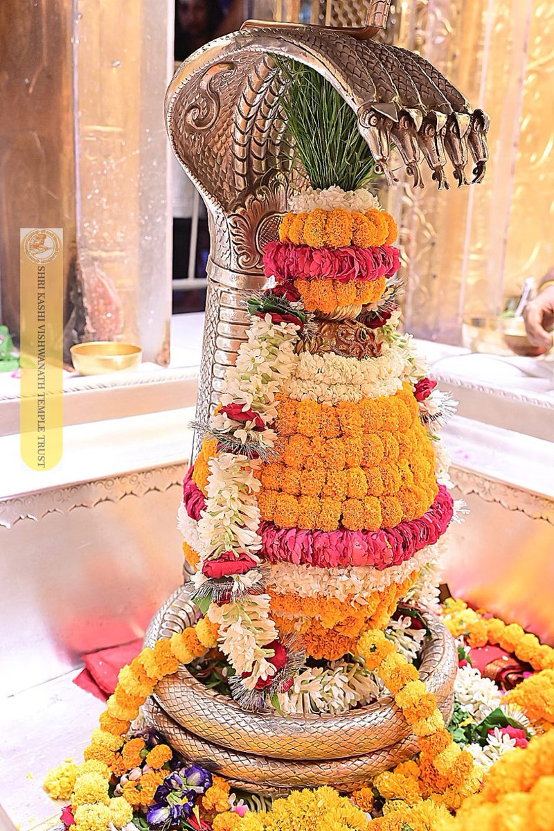 ShriVishwanath's tweet image. श्री काशी विश्वनाथ जी की श्रृंगार आरती I
#kashivishwanath #kashi #hindu #sanatandharm