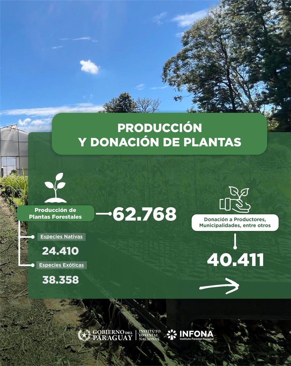 Instituto Forestal Nacional del Paraguay tweet media