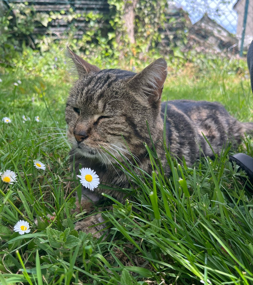 ixtab⋆ﾟ tweet media