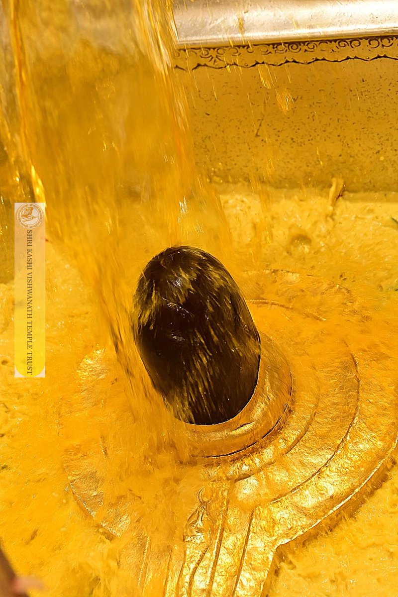 ShriVishwanath's tweet image. श्री काशी विश्वनाथ जी की सप्तऋषि आरती I
#kashivishwanath #kashi #hindu #sanatandharm