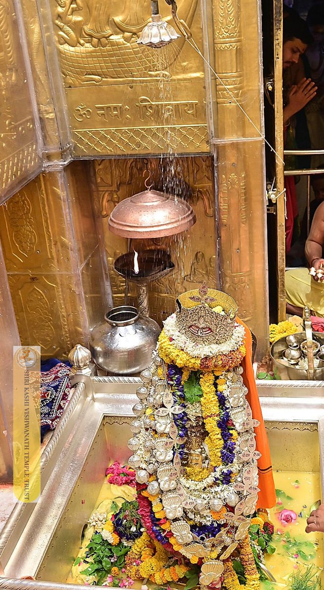 ShriVishwanath's tweet image. श्री काशी विश्वनाथ जी की सप्तऋषि आरती I
#kashivishwanath #kashi #hindu #sanatandharm